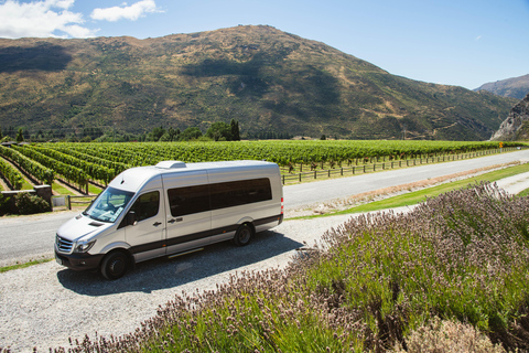 Queenstown: Tour Crepuscular del Vino y la Cerveza Artesana