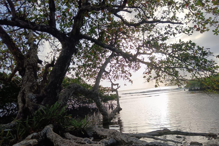 Paseo en 4 Islas paradisíacas de Portobelo conguía,salvavida