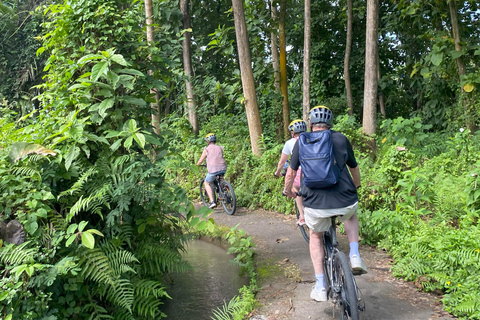 Ubud: Downhill-cykeltur med risfält, vulkan och måltidPrivat grupp