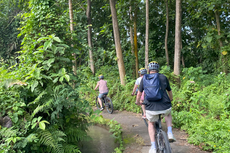 Ubud: Downhill-cykeltur med risfält, vulkan och måltidPrivat grupp