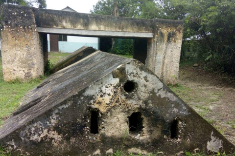 Zanzibar : excursion de plongée avec tuba dans le lagon bleu