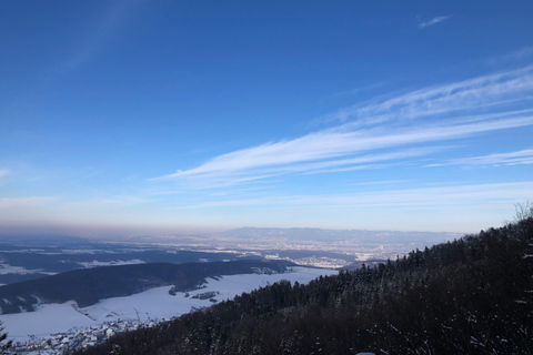 Swiss Highlights: Guided Zürich, Lucerne, Basel & Bern tour