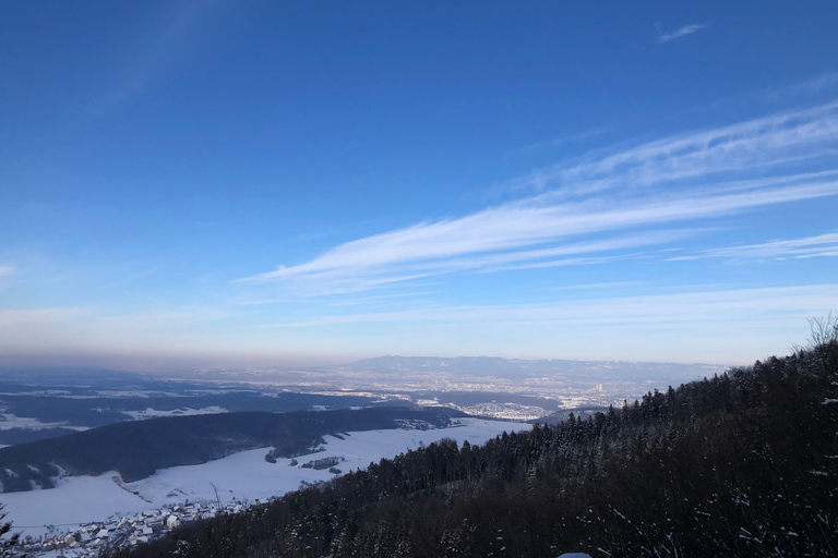 Swiss Highlights: Guided Zürich, Lucerne, Basel & Bern tour