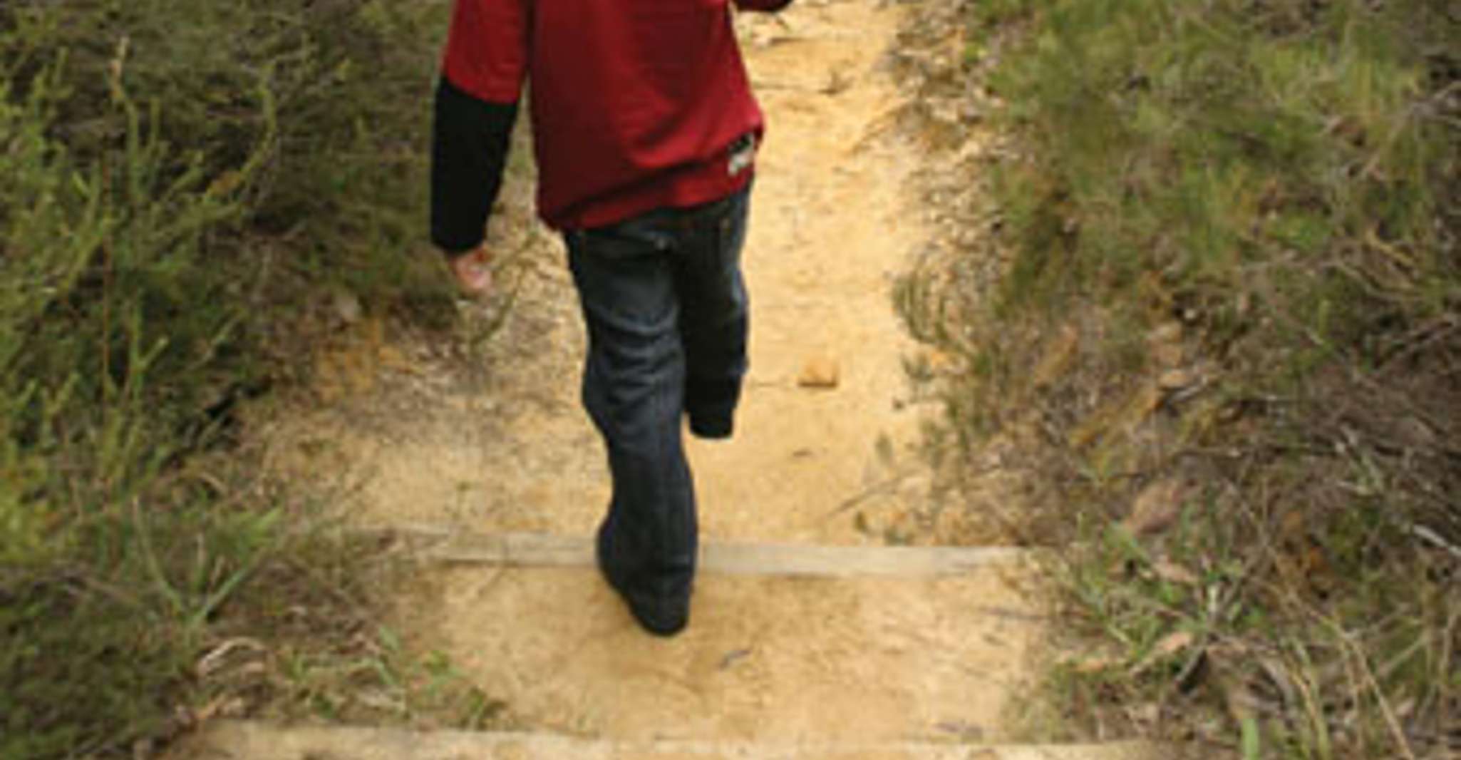 Da Sydney, Boutique Uncharted Blue Mountains Tour - Hizvo