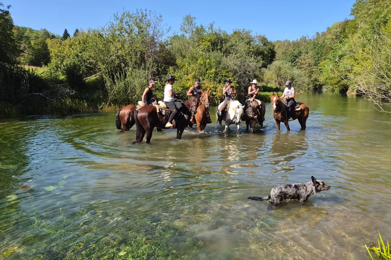 Plitvice: Horseback Riding Tour with Cave Entry Ticket Ride to Barać Caves (Half‑day Horseback Tour)