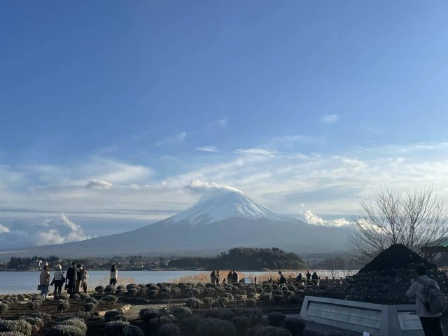 東京出發➡️富士山河口湖一日遊