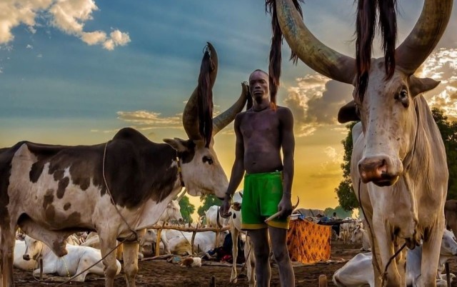 Visit 4 days Mundari Cattle Camp Tour in Juba