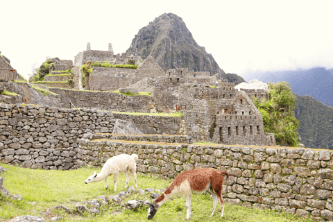 Machu Picchu: Classic Route Ticket (Circuit 2) 1D – Inca Bridge Route