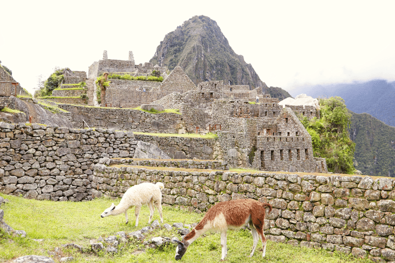 Machu Picchu: Classic Route Ticket (Circuit 2) 1D – Inca Bridge Route