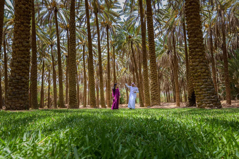 Aventura en el Oasis de Alula