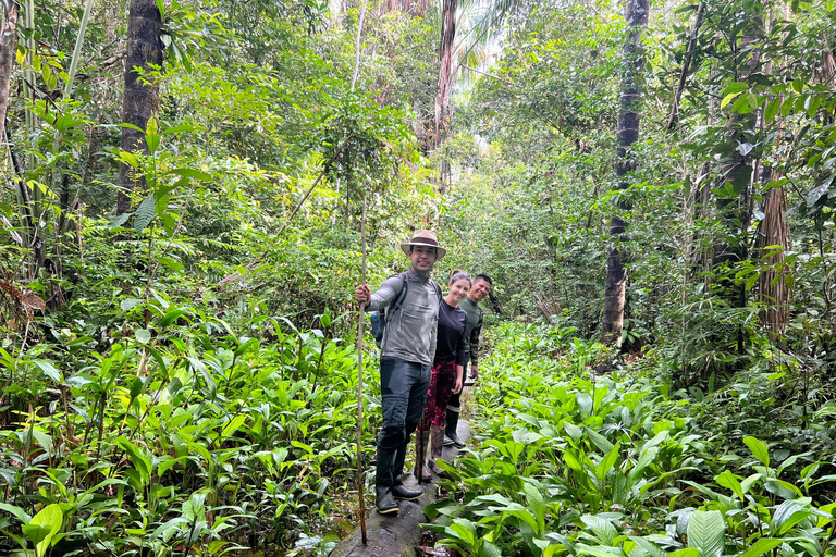 Journée d'observation des oiseaux dans la jungle amazonienne avec guide privé