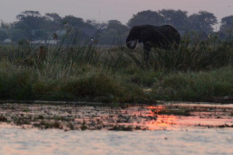 3 Días Explora Zambia, Zimbabue y el Parque Chobe en Botsuana