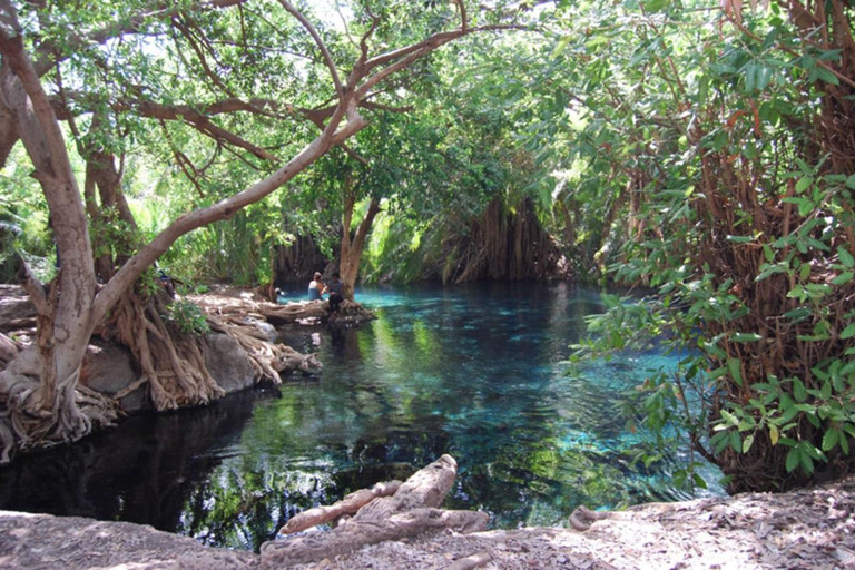 Materuni Waterfalls, Coffee tour, Hot Springs &amp; Maasai Villa