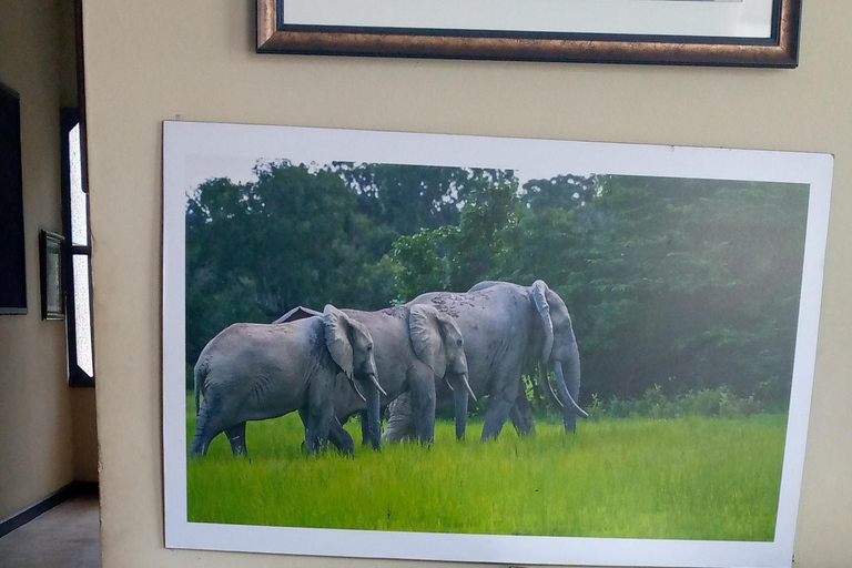 2 Days Eastern And Volta Region Experience