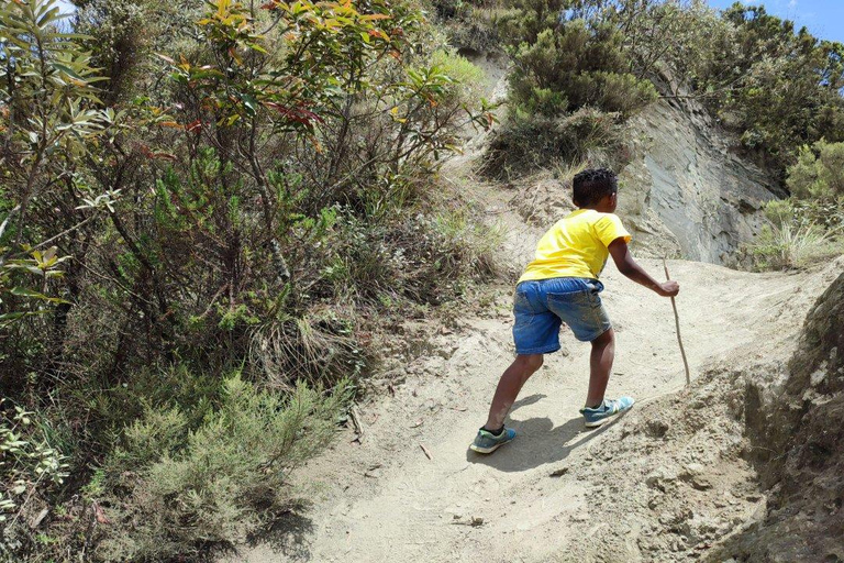 Mt Longonot National park Day Hike