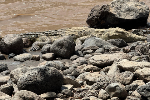 Addis Ababa: Awash National Park 2-Day Safari & Volcano Hike