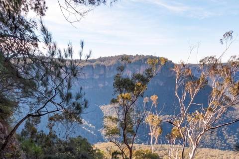 Blue Mountains Active Hike Tour from Sydney: No Rides Sydney: Blue Mountains Active Eco-Hike Tour (No Rides)