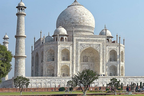 Från Delhi: - Tajmahal och Agra fort Tour med lunch