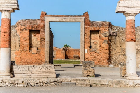 Pompeii: Small-Group Tour with an Archeologist Group Tour in English