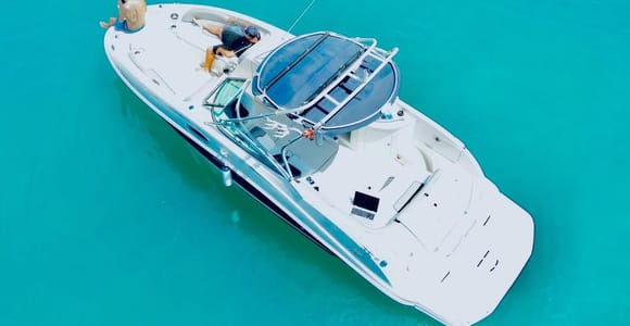 Marbella-Puerto Banús: Private Boat Tour to Spot Dolphins