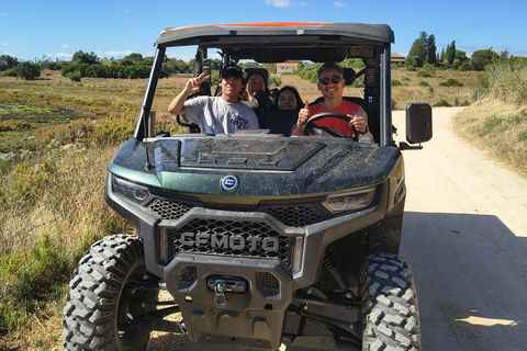 Guided buggy Passenger tour Alvor Ria wetlands