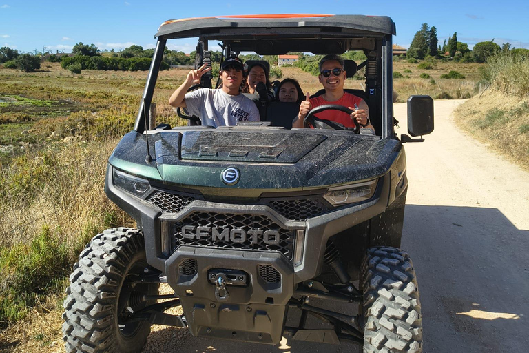 Guided buggy Passenger tour Alvor Ria wetlands