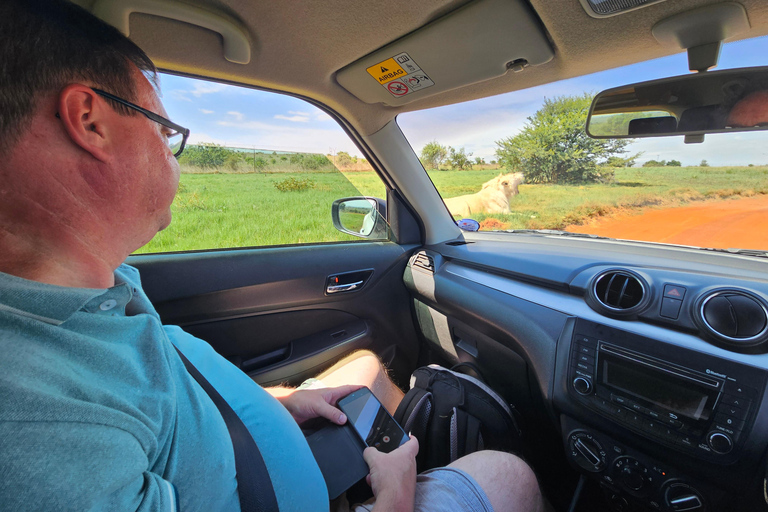 Rhino and Lion Park (Safari) and Cradle (Maropeng Museum)Private Tour