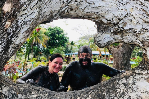 Nadi: Hot Springs and Mud Pools Natural Spa Nadi Hotspring and Mudpool Entry Fee