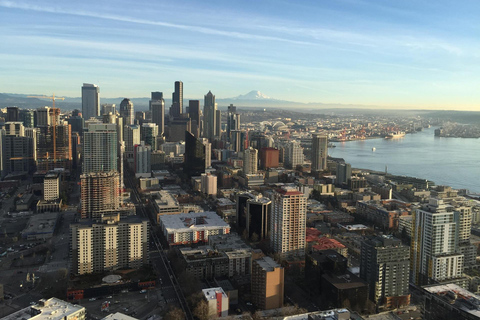 Seattle: Space Needle & 1962 World's Fair Guided Tour