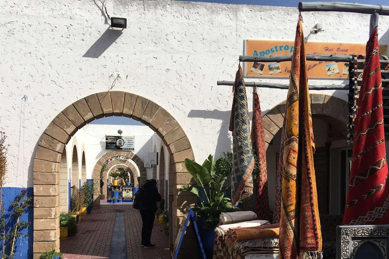 From Agadir : Day in Essaouira with Transfer Shared Group Experience