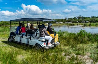 Camargue: E-Safari – Wildtiere und Pferde im Naturschutzgebiet