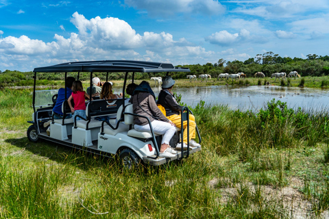 Camargue: Electric Safari with Guide in a private reserve