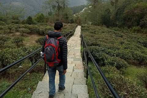 Pokhara: 4-Day Ghorephani and Poon Hill Private Trek