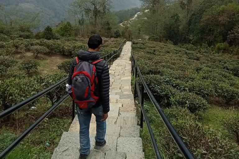Pokhara: 4-Day Ghorephani and Poon Hill Private Trek
