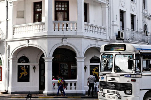 Bentota: Kandy Day Tour with Temple of the tooth & Gardens