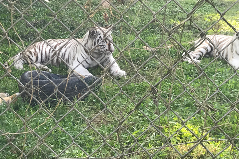 ENTEBBE MOTOR BIKE TOUR