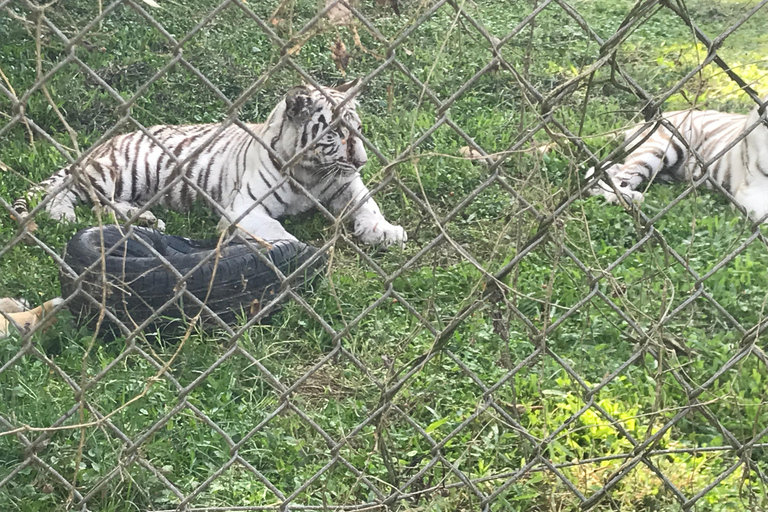 ENTEBBE MOTOR BIKE TOUR