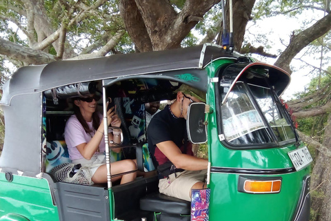 From Habarana: Polonnaruwa Ancient City Tour by Tuk-Tuk From Sigiriya: Polonnaruwa Ancient City Tour by Tuk-Tuk