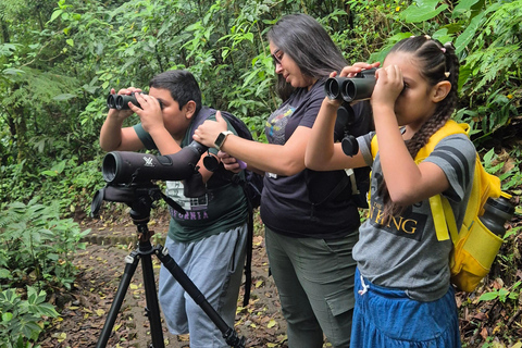 Monteverde: Small-Group Bird Safari with Expert Local Birder