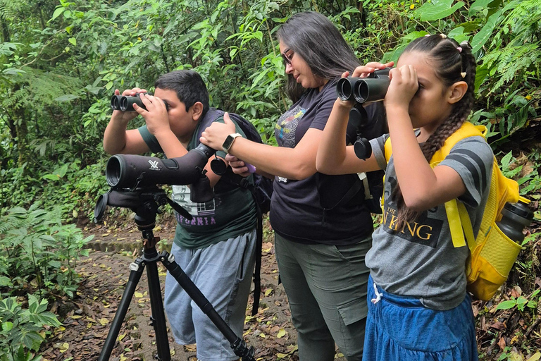 Monteverde: Small-Group Bird Safari with Expert Local Birder