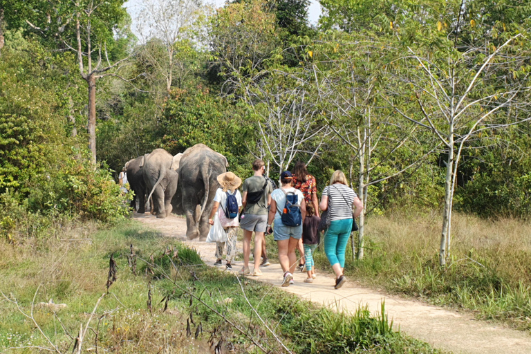 Siem Reap : Visite en petit groupe de la forêt d'éléphants de Kulen