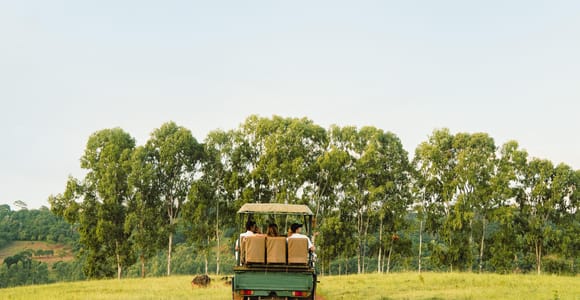 Mauritius: Bel Ombre Nature Reserve 4x4 Safari Adventure