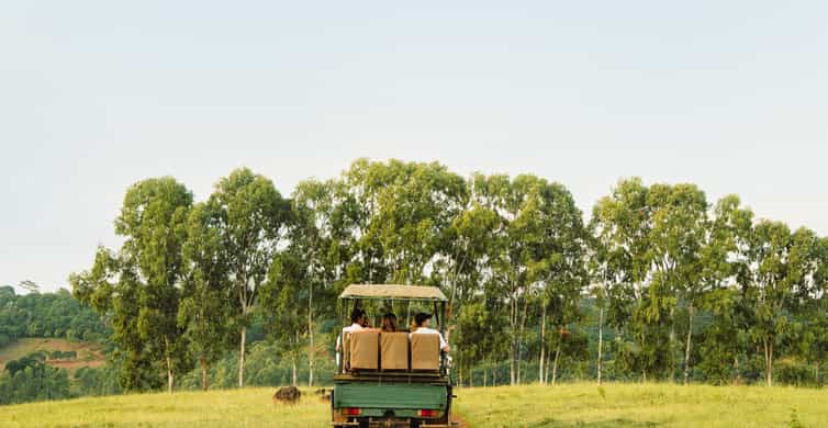 Safari en 4x4 dans la Bel Ombre Nature Reserve