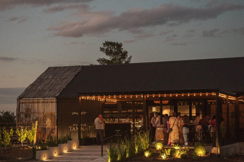 From Colonia: Pueblo Tannat Winery Experience Wine & Cheese Tasting
