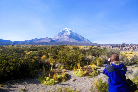 From La Paz: Sajama & Uyuni Salt Flats 4-Days Scenic Journey