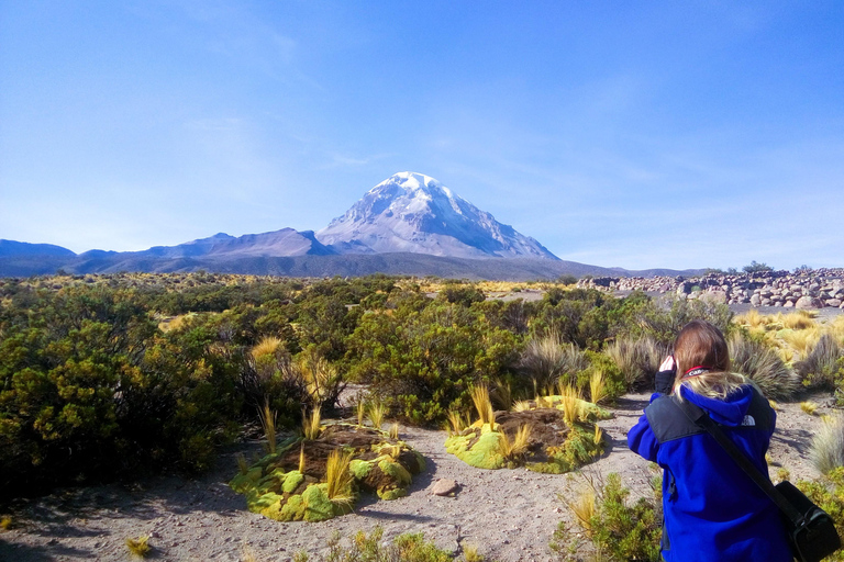 From La Paz: Sajama & Uyuni Salt Flats 4-Days Scenic Journey