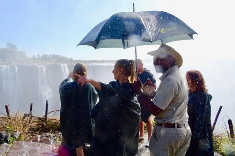 Chutes Victoria : Visite guidéeChutes Victoria : Visite guidée - côté zambien