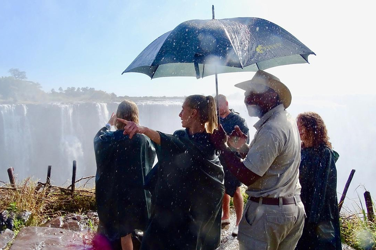 Chutes Victoria : Visite guidéeChutes Victoria : Visite guidée - côté zambien