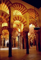 Costa del Sol, Full-Day Cordoba Tour - Housity