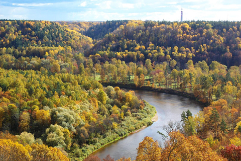 De Riga: viagem de 1 dia particular para os castelos de Cesis, Sigulda e Turaida